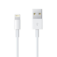 Apple Lightning to USB Cable .5 M