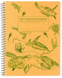 Decomposition Notebook Sea Turtles