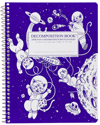 Decomposition Notebook Kittens in Space