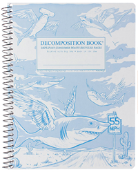 Decomposition Notebook Flying Sharks