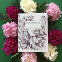 Decomposition Notebook Hummingbirds