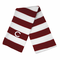 Rugby Striped Knit Scarf