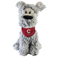 Colgate Dogs Mighty Tykes