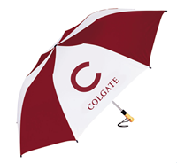 The Big Storm Umbrella