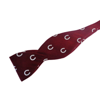 Colgate Embroidered Silk Bow Tie