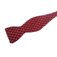 Colgate 13 Silk Bow Tie
