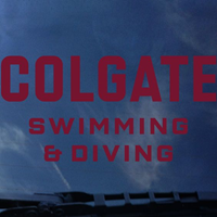 Swimming & Diving Decal