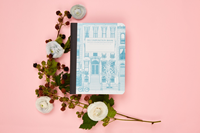 Decomposition Notebook Brownstone