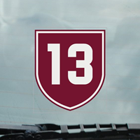 13 Shield Static Car Cling