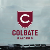 Raider Shield Static Car Cling