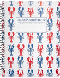 Decomposition Notebook Lobsters