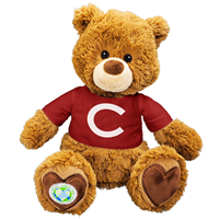 Polly Bear