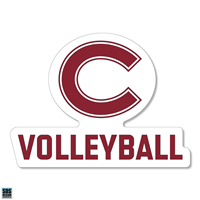Rugged Sticker Volleyball 2"
