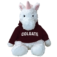Cuddle Buddy Plush