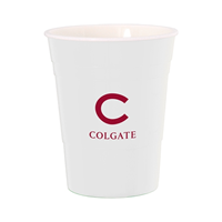 Party Cup 16 oz