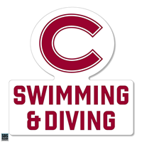 Rugged Sticker Swimming & Diving 2"