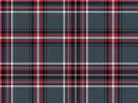 Lambswool Tartan Scarf