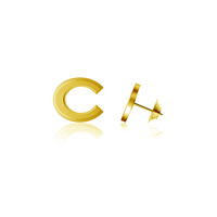 Lapel Pin