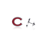 Lapel Pin