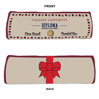 Diploma Squeaker Dog Toy
