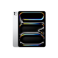 iPad Pro M4 13-inch