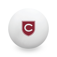 Lacrosse Ball