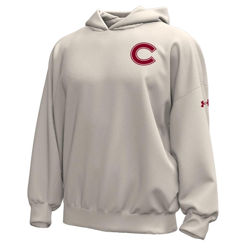 Under Armour Gameday Icon Hoodie (SKU 13544782191) Under Armour Gameday Icon Hoodie (SKU 13544782191)