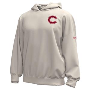 Under Armour Gameday Icon Hoodie