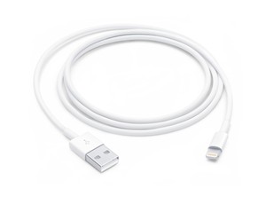 Apple Lightning to USB Cable (1M)