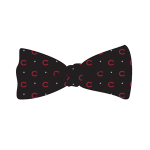 Woven Silk Polka Dot Bow Tie
