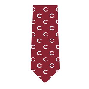 Printed Silk Tie