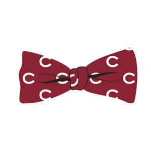 Woven Silk Bow Tie
