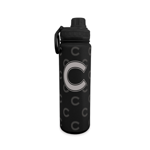 Stainless Steel Water Bottle 24 oz