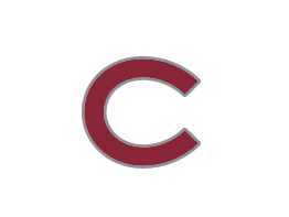 Silver Maroon Lapel Pin